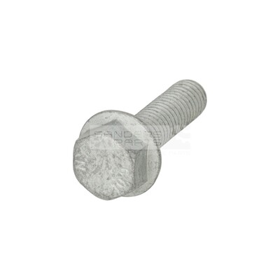 ZESKANTSCHROEF MET FLENS M8x30 OE